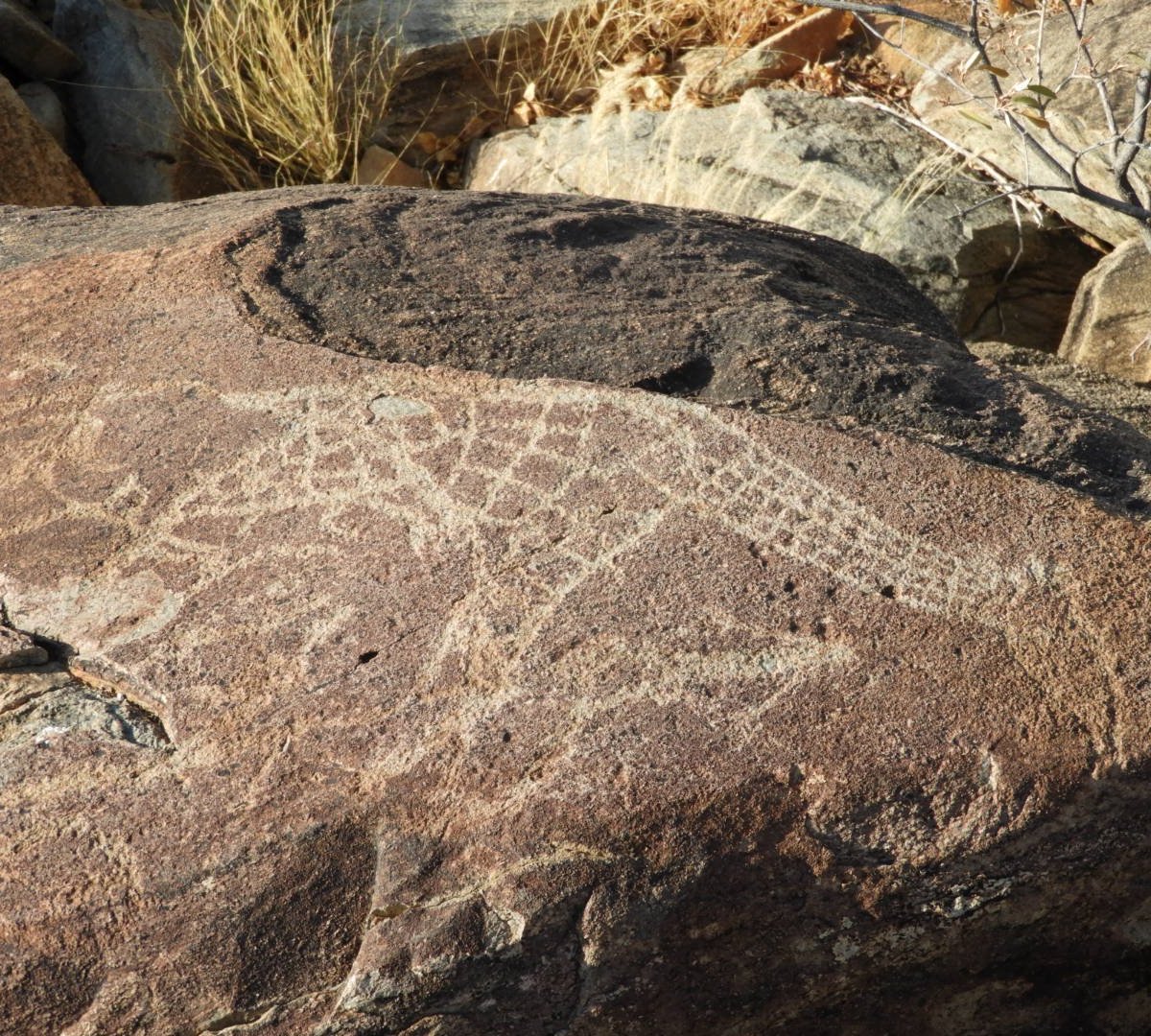 Rock Engravings at Peet Alberts Koppie - All You Need to ...