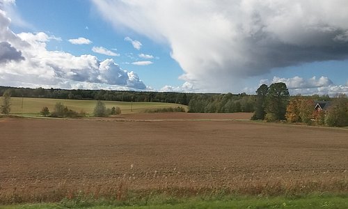 Fields in Ostrobothnia