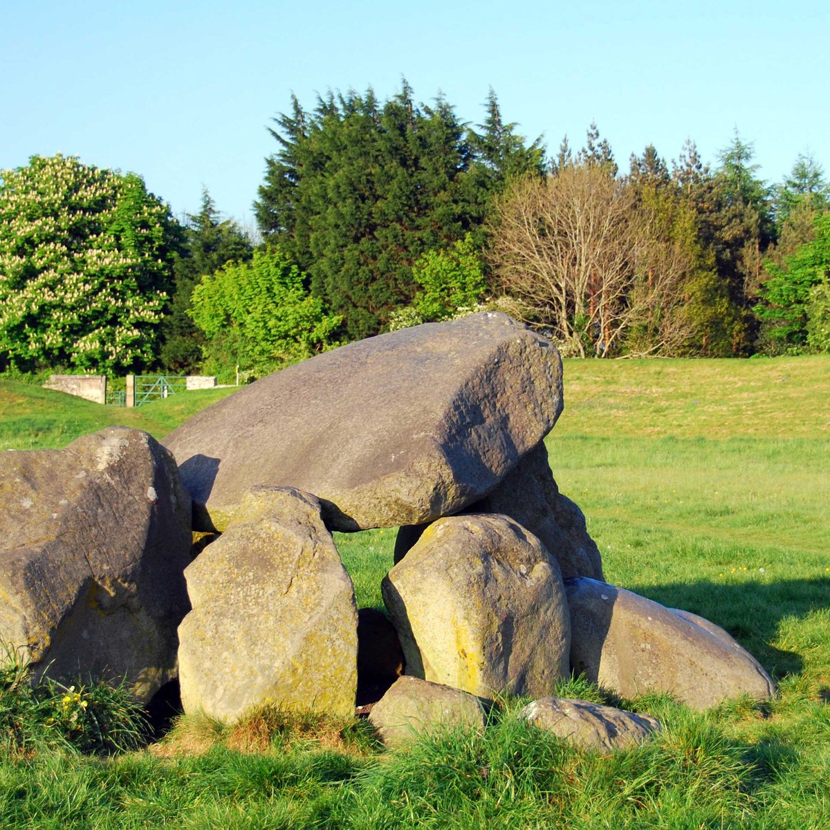 giant-s-ring-belfast