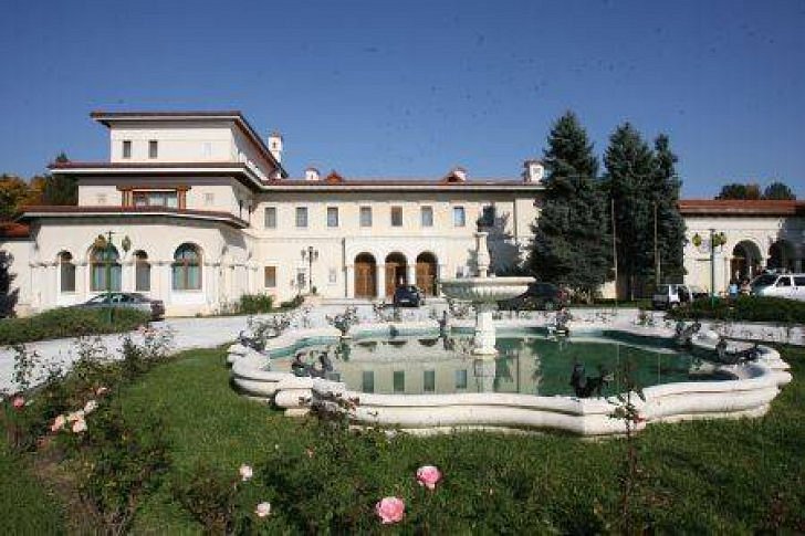 Snagov Palace image