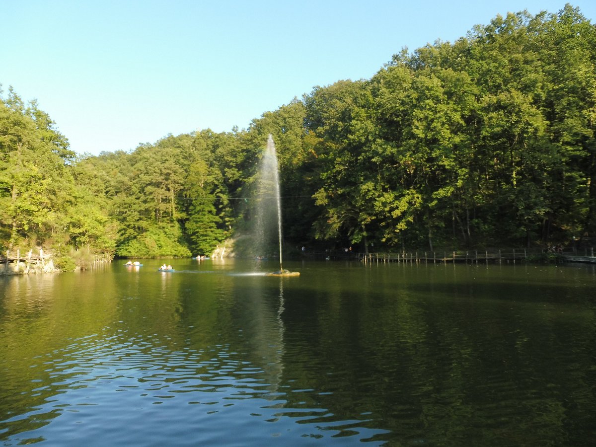 Parco Matildico di Montalto - Qué SABER antes de ir (ACTUALIZADO 2024) -  Tripadvisor