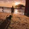marc_goes_traveling