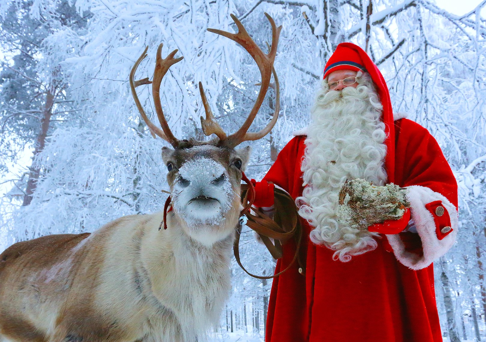 Santa claus store reindeer