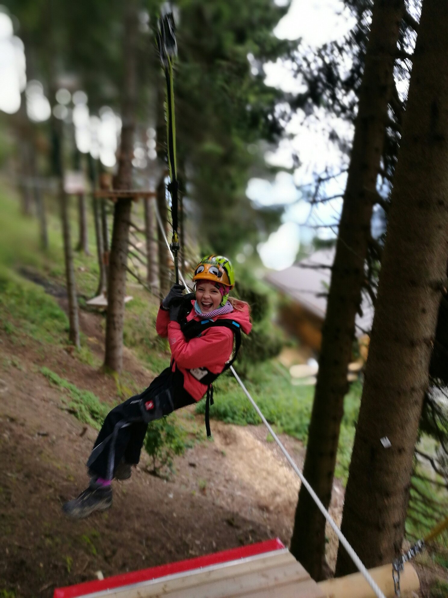 Naturzeit Kletterwald Oberammergau (Garmisch-Partenkirchen) - Lohnt Es ...