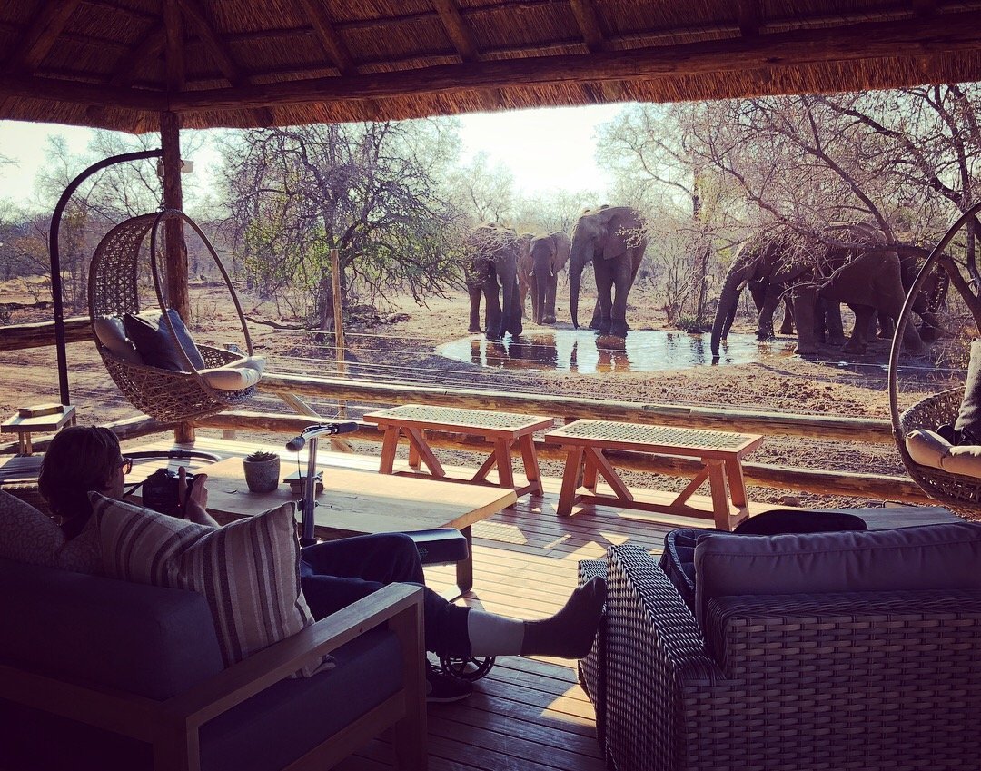 NKALA SAFARI LODGE - Updated 2024 Prices & Reviews (Pilanesberg ...