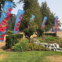 Veterans row