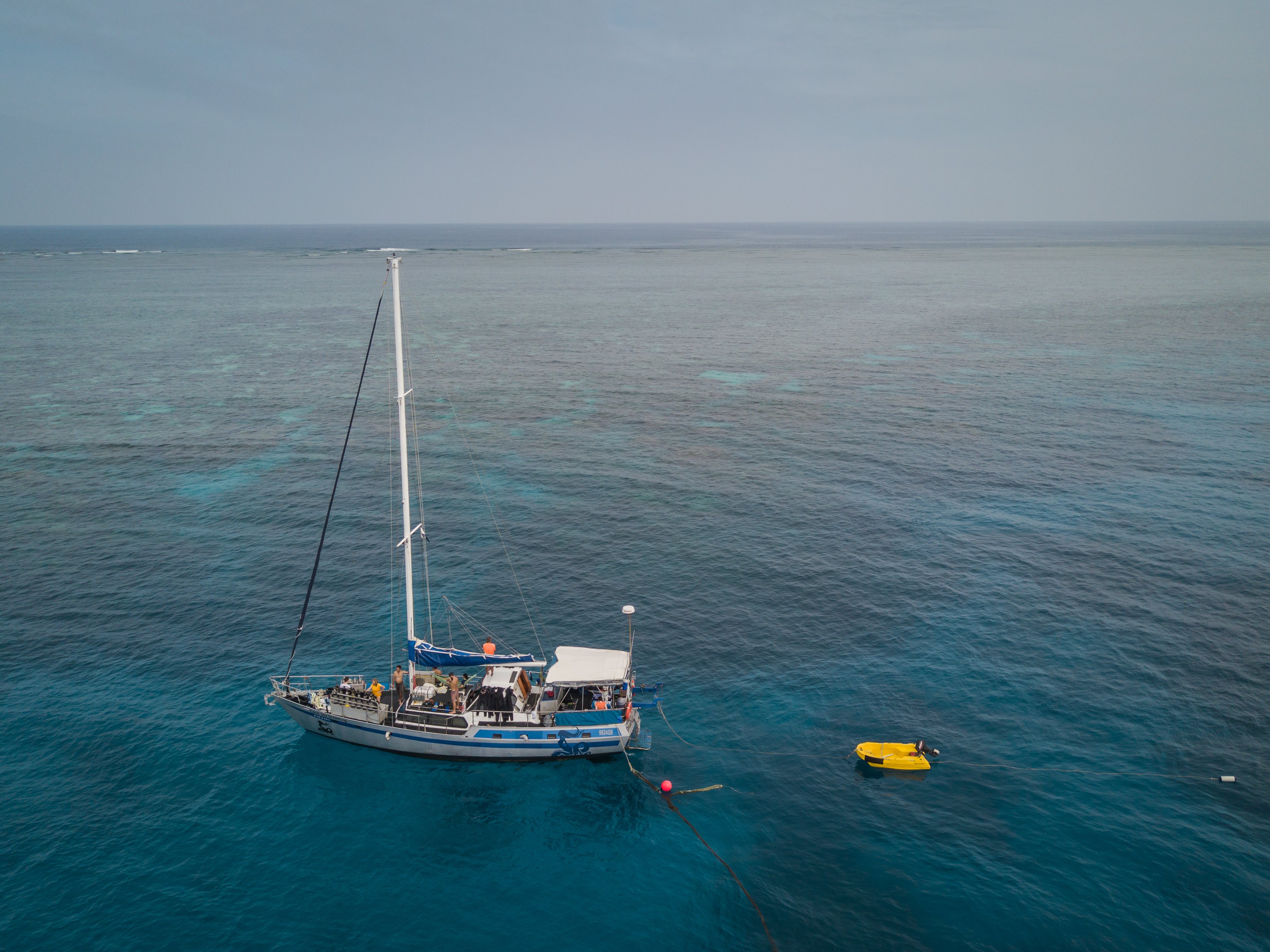 CORAL SEA DREAMING Cairns 2023 What To Know BEFORE You Go   The Serenity On Coral 