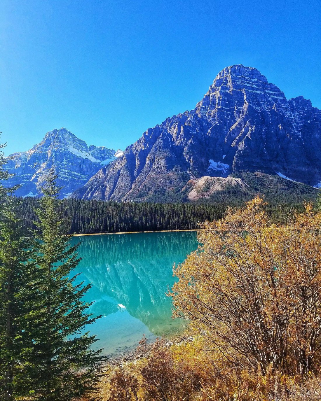 waterfowl-lake-campground-reviews-banff-alberta