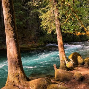 amazing blue McKenzie River!