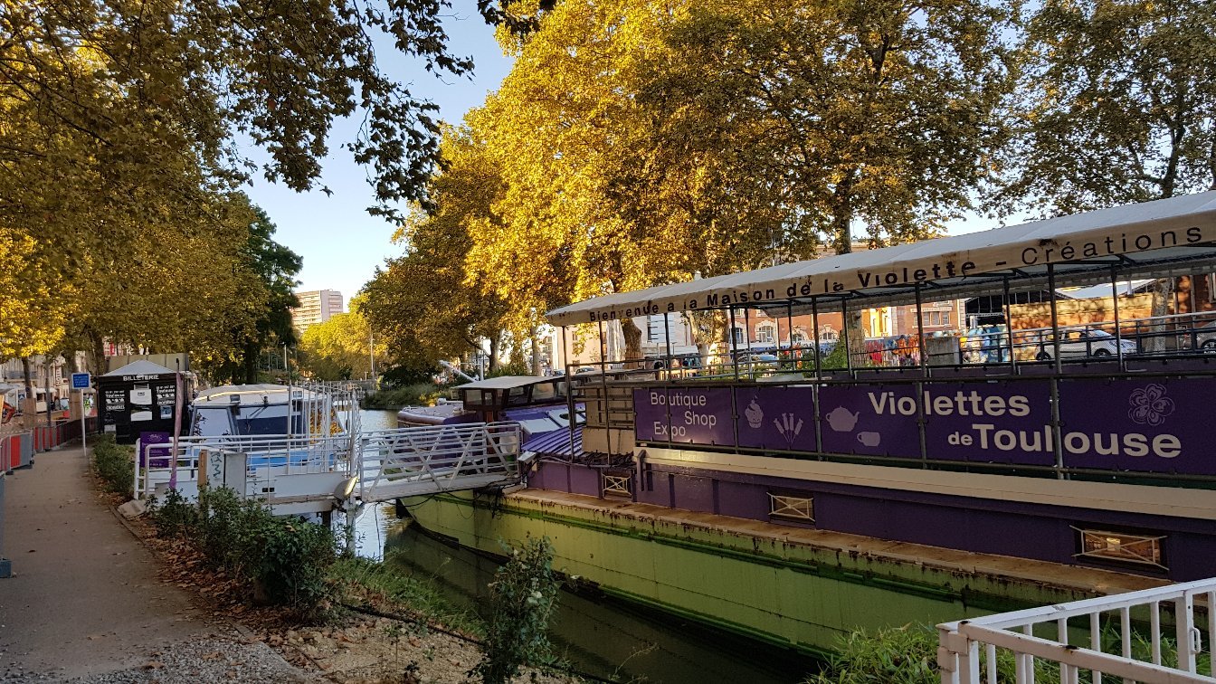 חוות דעת על ‪La Maison De La Violette‬ - טולוז, צרפת - Tripadvisor