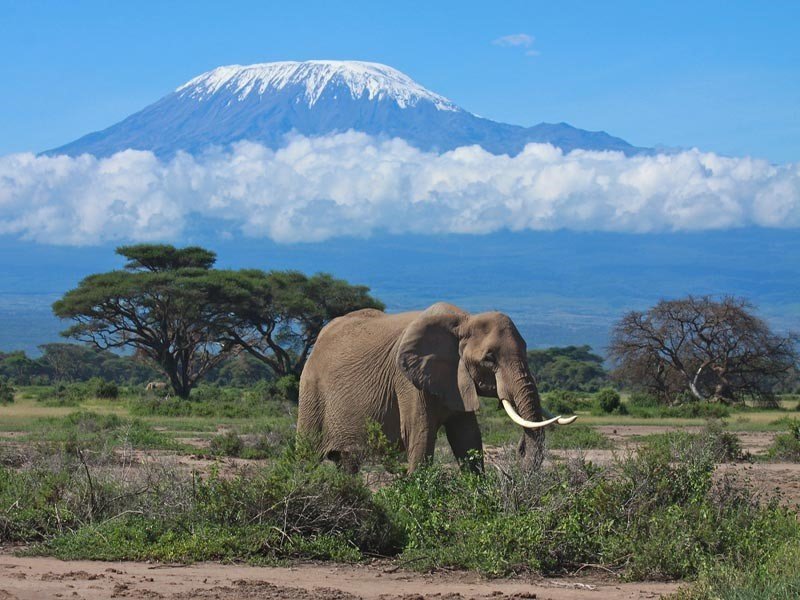 Elida Tours & Safaris (Nairobi) - All You Need to Know BEFORE You Go