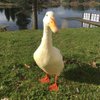Sandie728