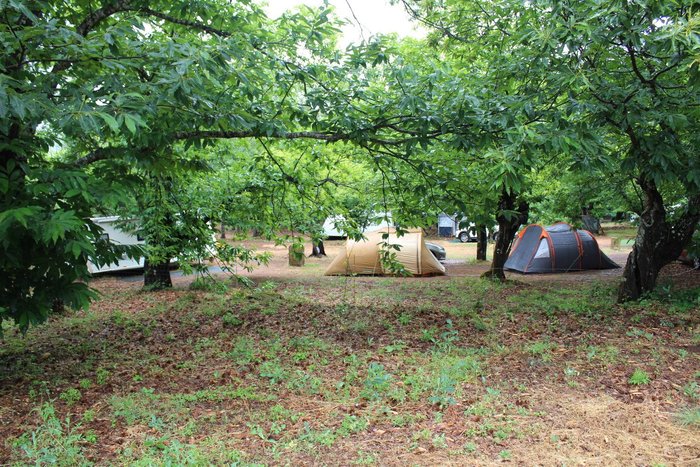 Imagen 3 de Camping el Madronal