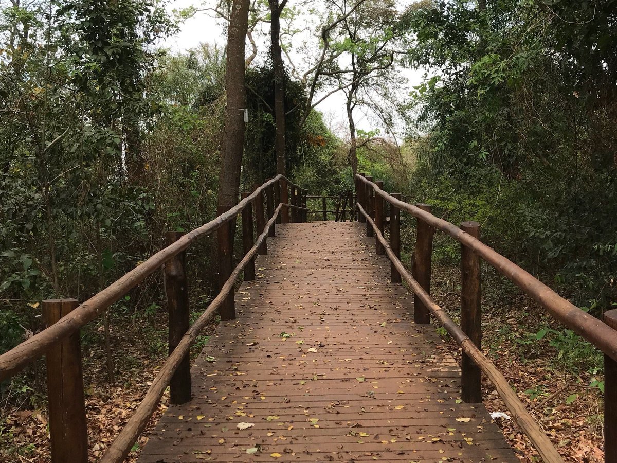 Parque Sul levará esporte e lazer a moradores de Águas Claras