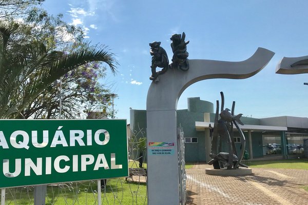 Aparecida do Taboado, a cidade que deixou o mundo 60 Dias