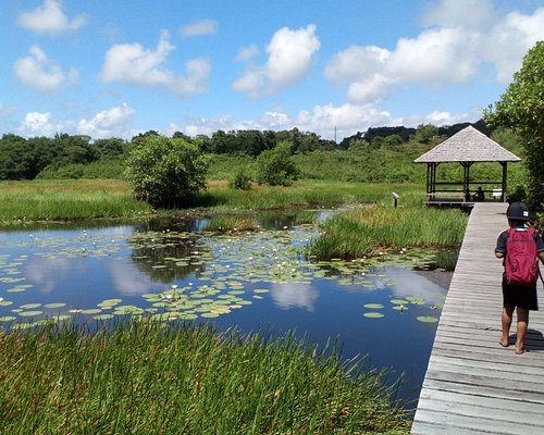 Conseils pour partir à l'aventure en Guyane Française - AVENTURE FRANCE -  Activités sportives & hébergements insolites