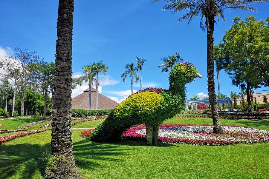 Jardines de México image