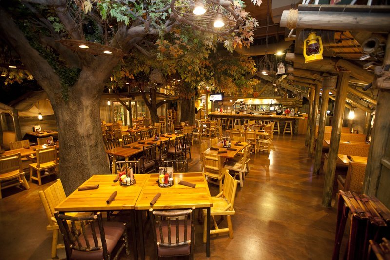 Hotel photo 13 of Great Wolf Lodge Kansas City.