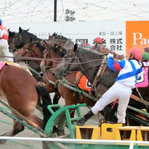 21年 帯広市で絶対外さないおすすめ観光スポットトップ10 定番から穴場まで トリップアドバイザー