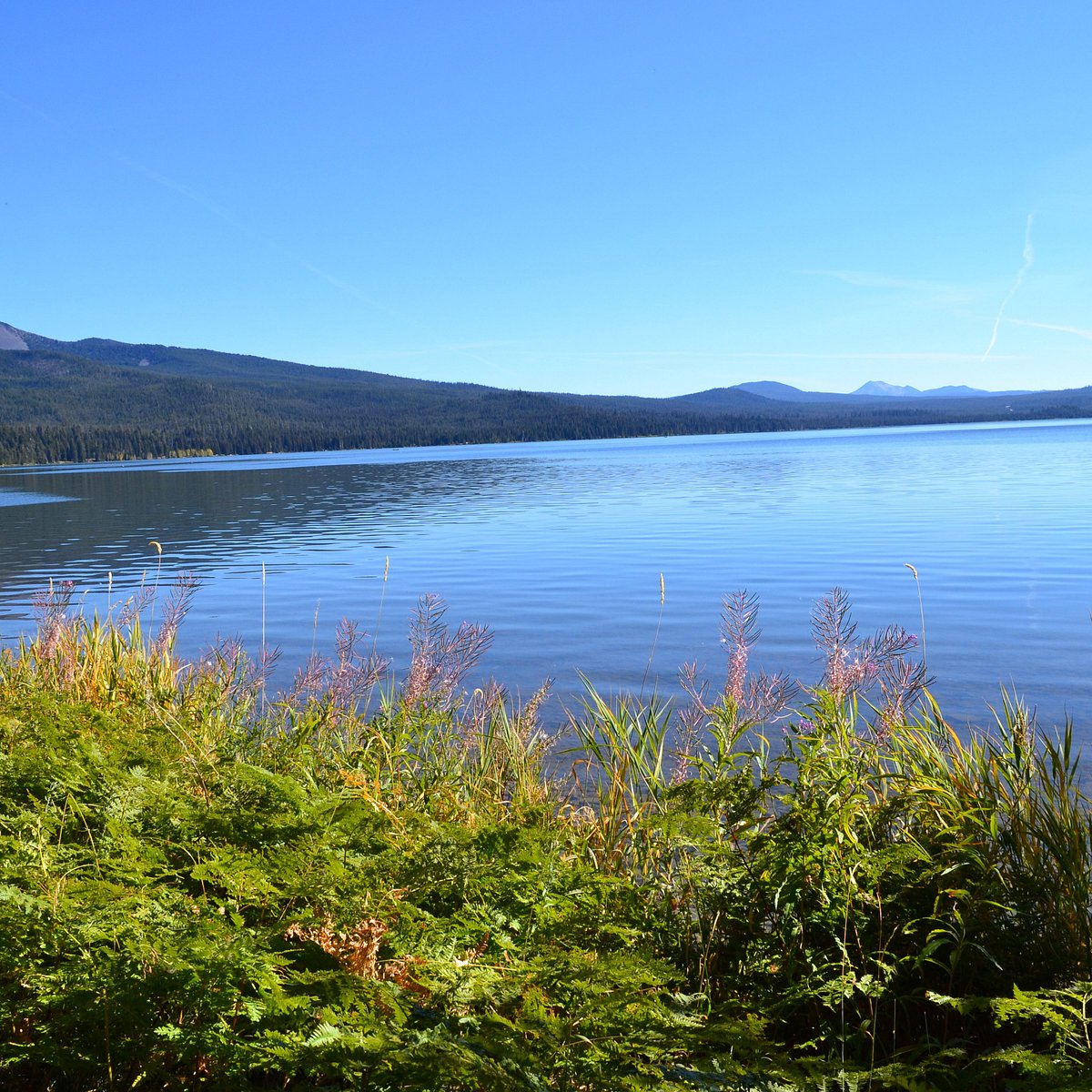 Алмазное озеро. Diamond Lake Oregon. Diamond Lake.