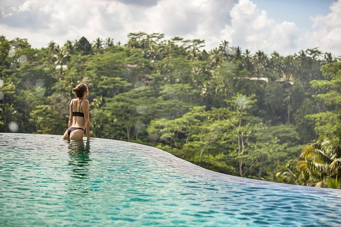 The Kayon Jungle Resort 수영장 사진 및 리뷰 - 트립어드바이저 The Kayon Jungle Resort 수영장 사진 및 리뷰 - 트립어드바이저