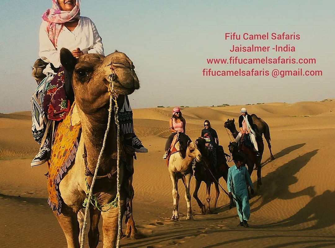 fifu camel safari jaisalmer