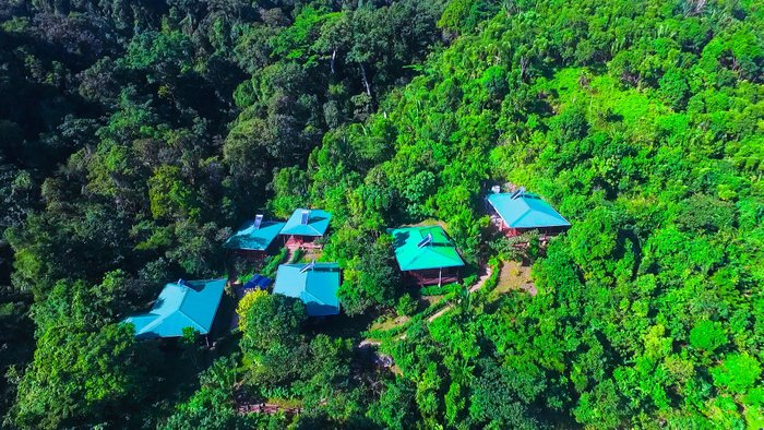 Dounia Forest Lodge - Updated 2024 Campground Reviews (madagascar 