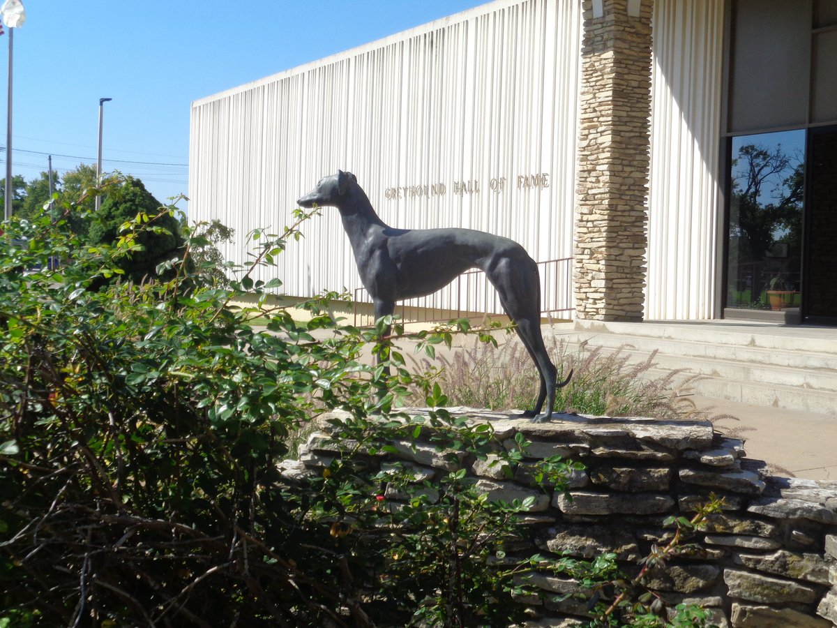 Greyhound Hall of Fame, Abilene: лучшие советы перед посещением -  Tripadvisor