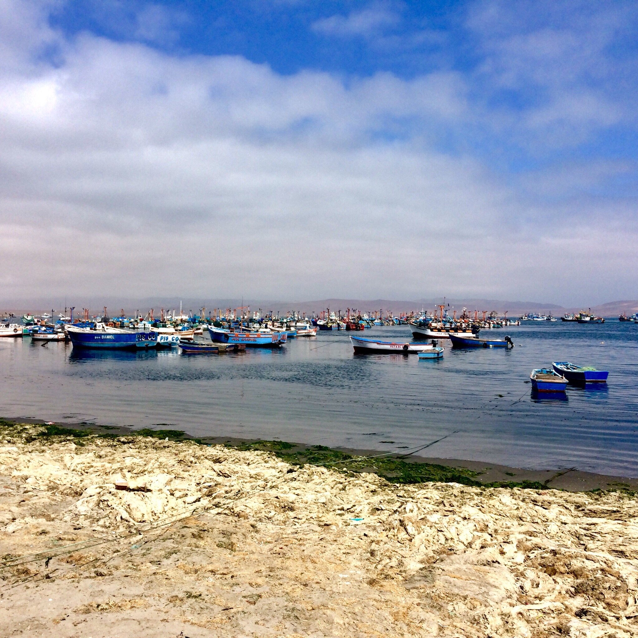 Malecon El Chaco Paracas Lo que se debe saber antes de viajar