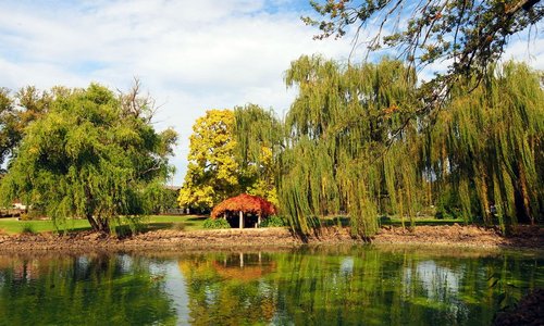 Tranquil