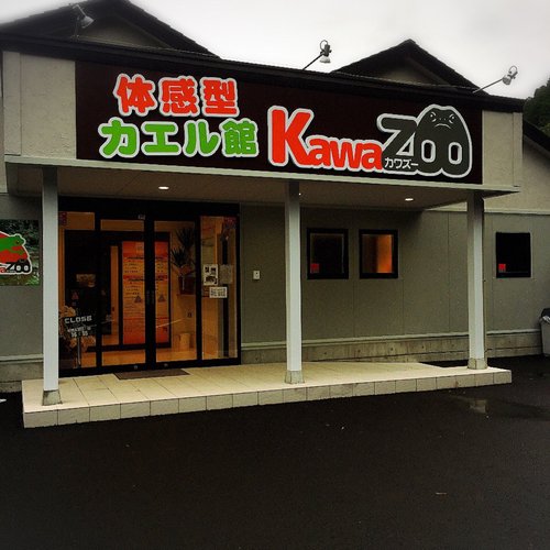 Kawazoo - All You Need to Know BEFORE You Go (2024)