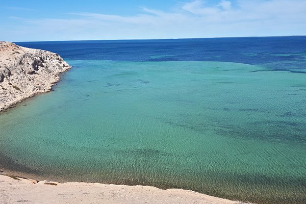 THE BEST Things to Do in Hamelin Pool - 2023 (with Photos) - Tripadvisor