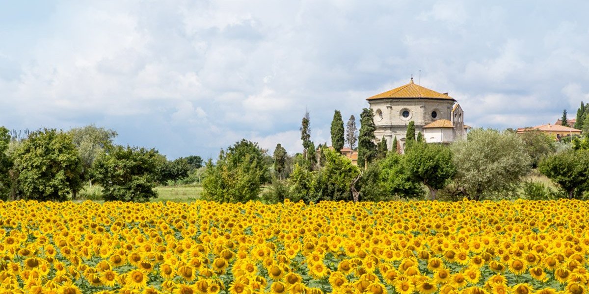 Suite San Michele by null