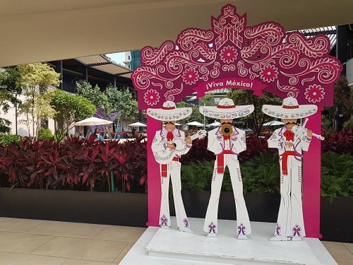 Las 10 cosas que hacer más populares en Morelos con niños – Actividades para toda la familia en Morelos, México | Tripadvisor Las 10 cosas que hacer más populares en Morelos con niños – Actividades para toda la familia en Morelos, México | Tripadvisor