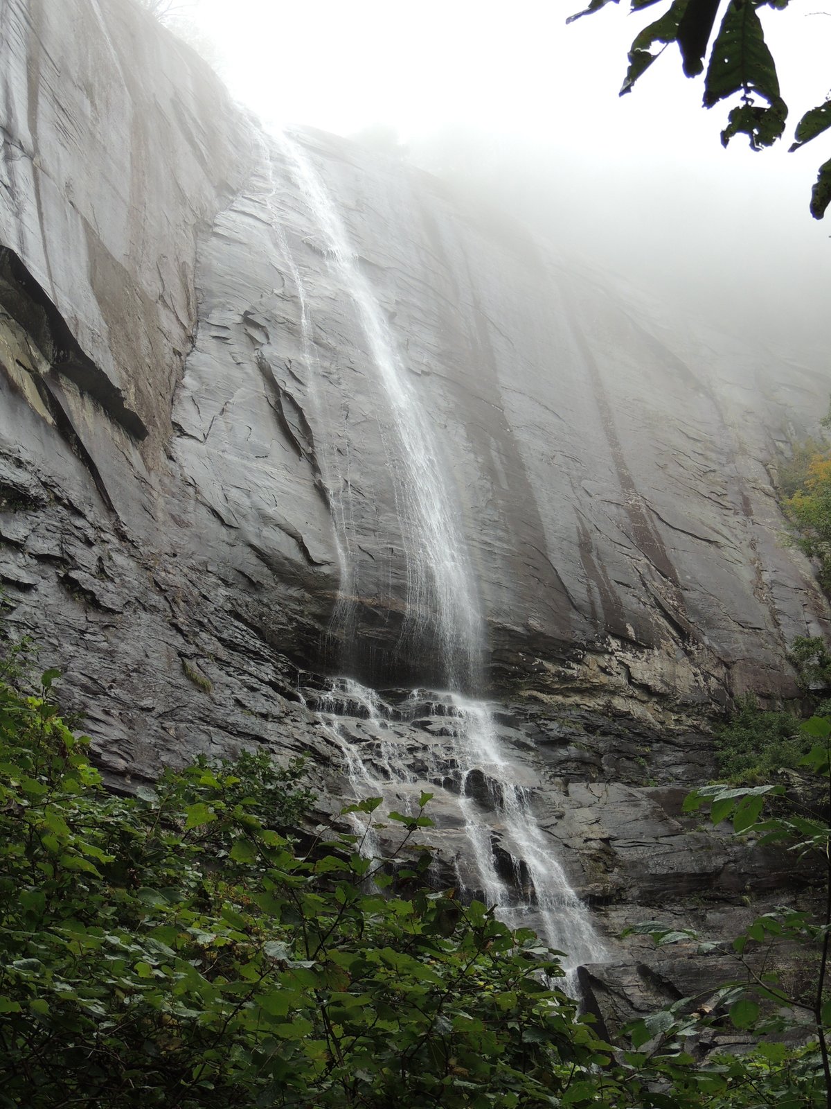 Hickory Nut Falls Trail - All You Need to Know BEFORE You Go (2024)