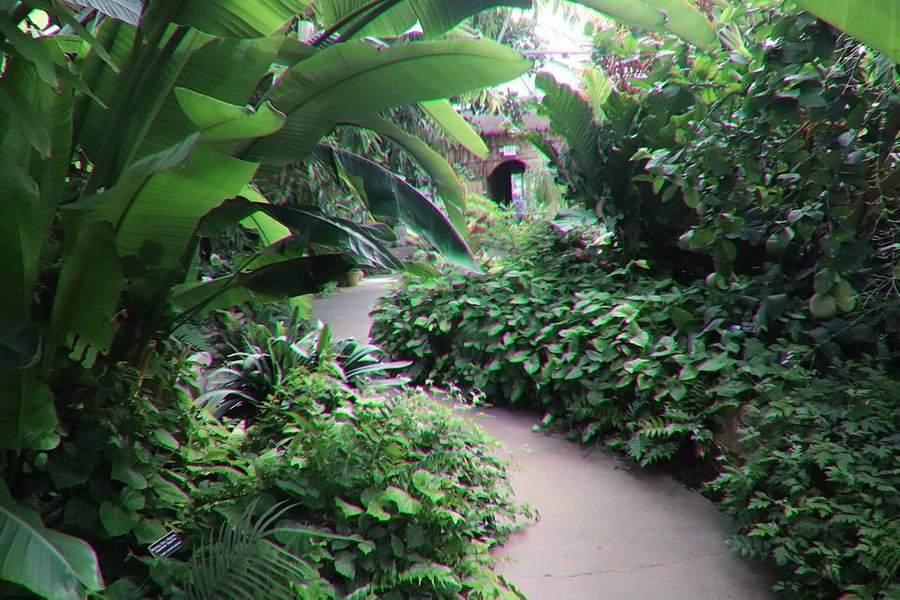 Luthy Botanical Garden image