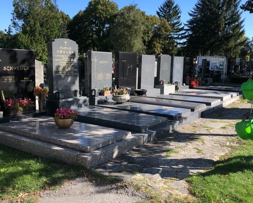 Wildlife Watching in Vienna Cemeteries