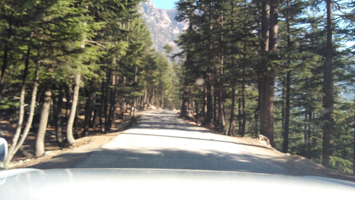 Kalam Forest - All You Need to Know BEFORE You Go (with Photos)