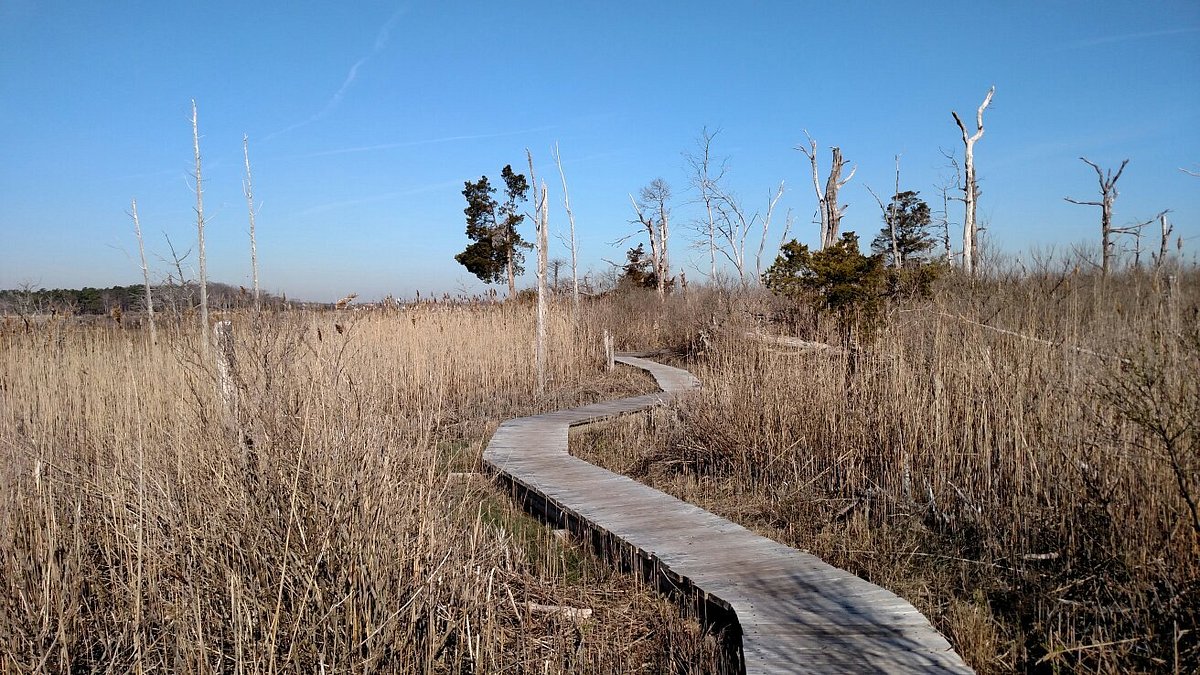 Cattus Island Trail Map Cattus Island County Park (Toms River) - 2022 What To Know Before You Go