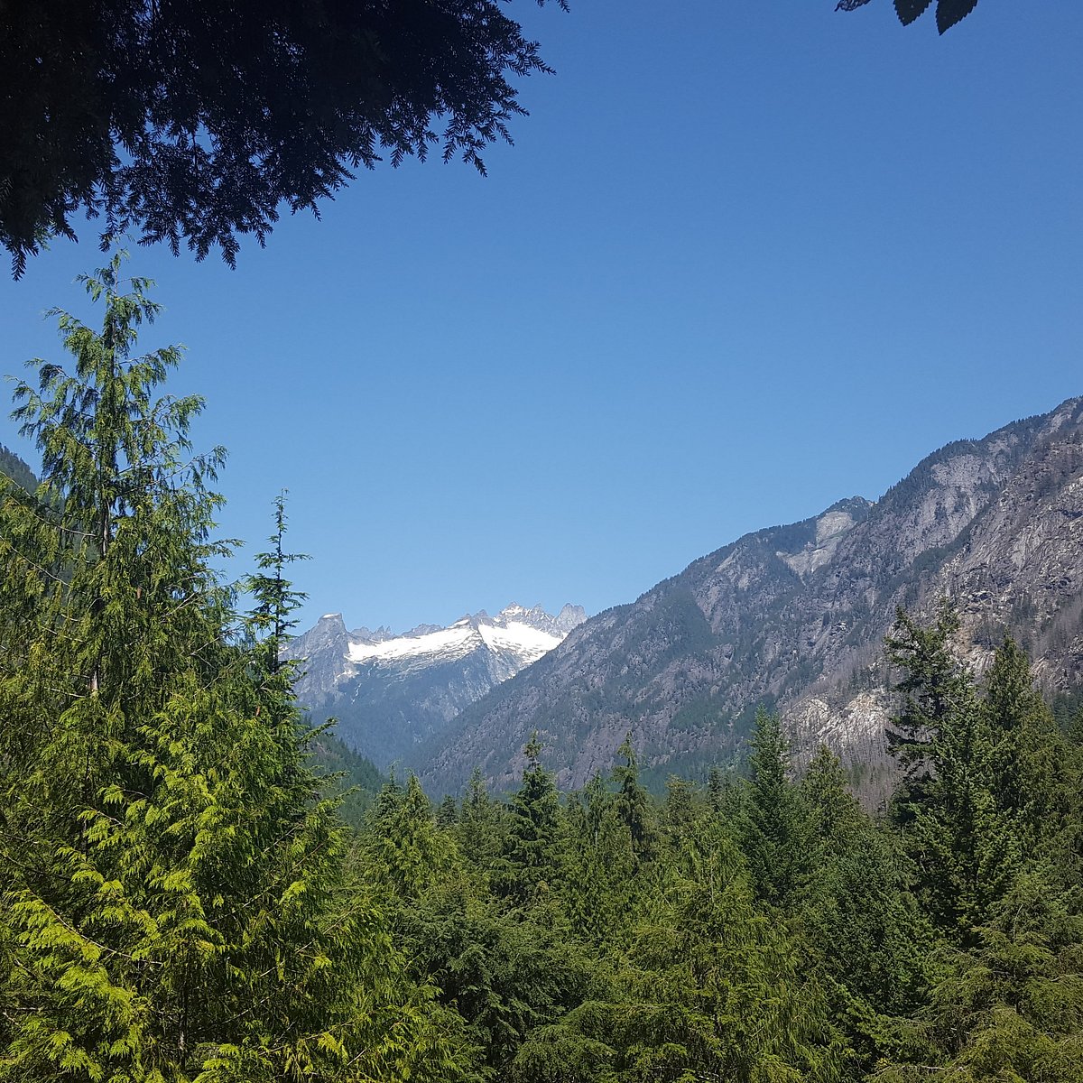 North Cascades Visitor Center - All You Need to Know BEFORE You Go (2024)