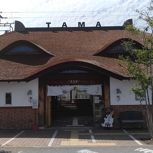 21年 紀の川市で絶対外さないおすすめ観光スポットトップ10 定番から穴場まで トリップアドバイザー 21年 紀の川市で絶対外さないおすすめ観光スポットトップ10 定番から穴場まで トリップアドバイザー