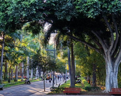 The 10 Best Sights Historical Landmarks In Santa Cruz De Tenerife For 21 Tripadvisor