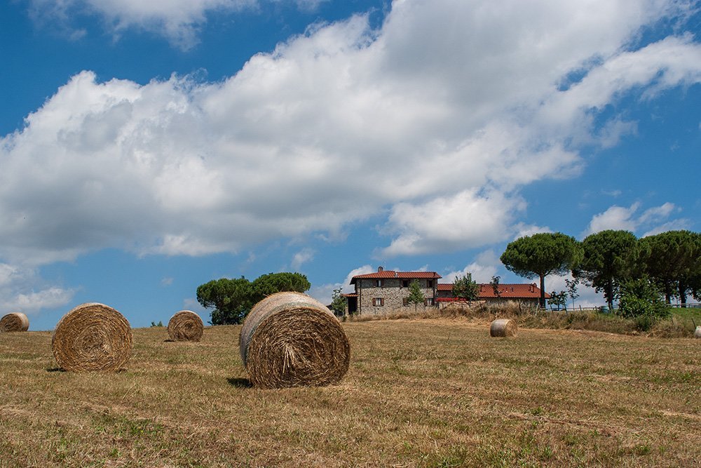 LA COLLINA DELLE STELLE Prezzi e Recensioni 2024