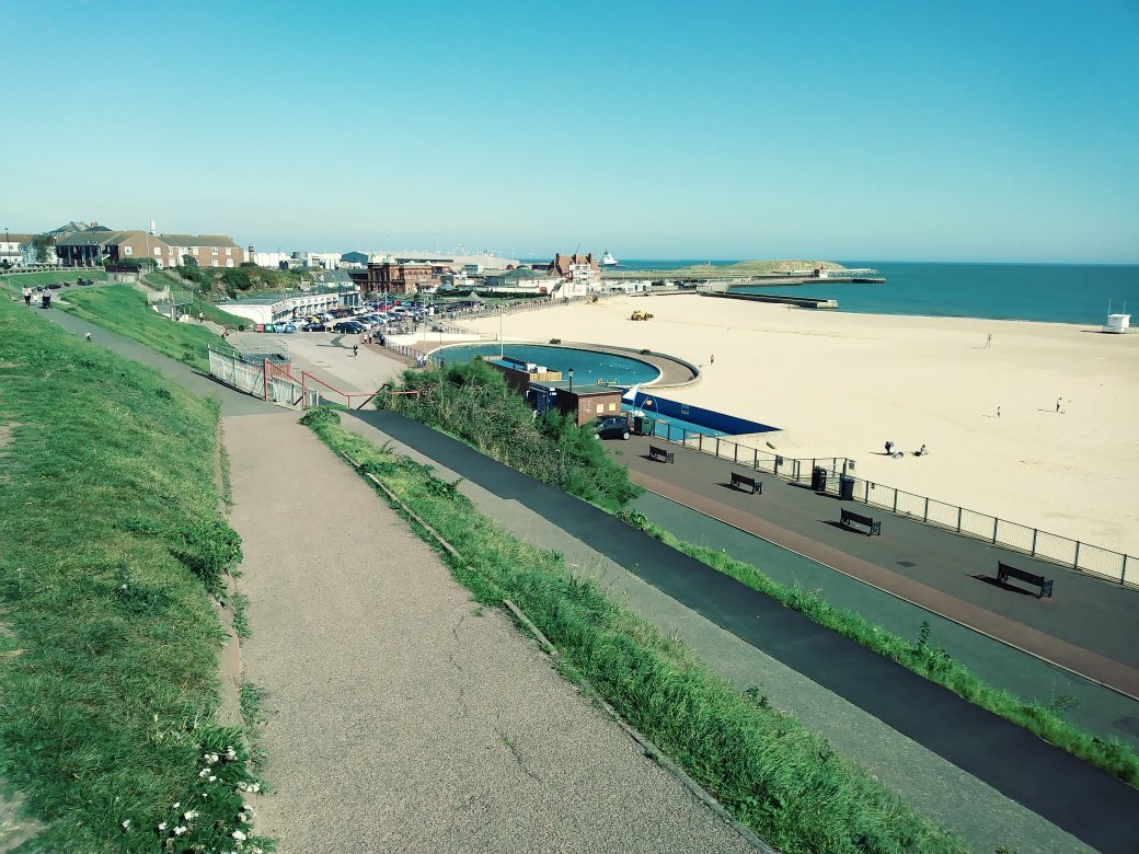 can you walk dogs on great yarmouth beach