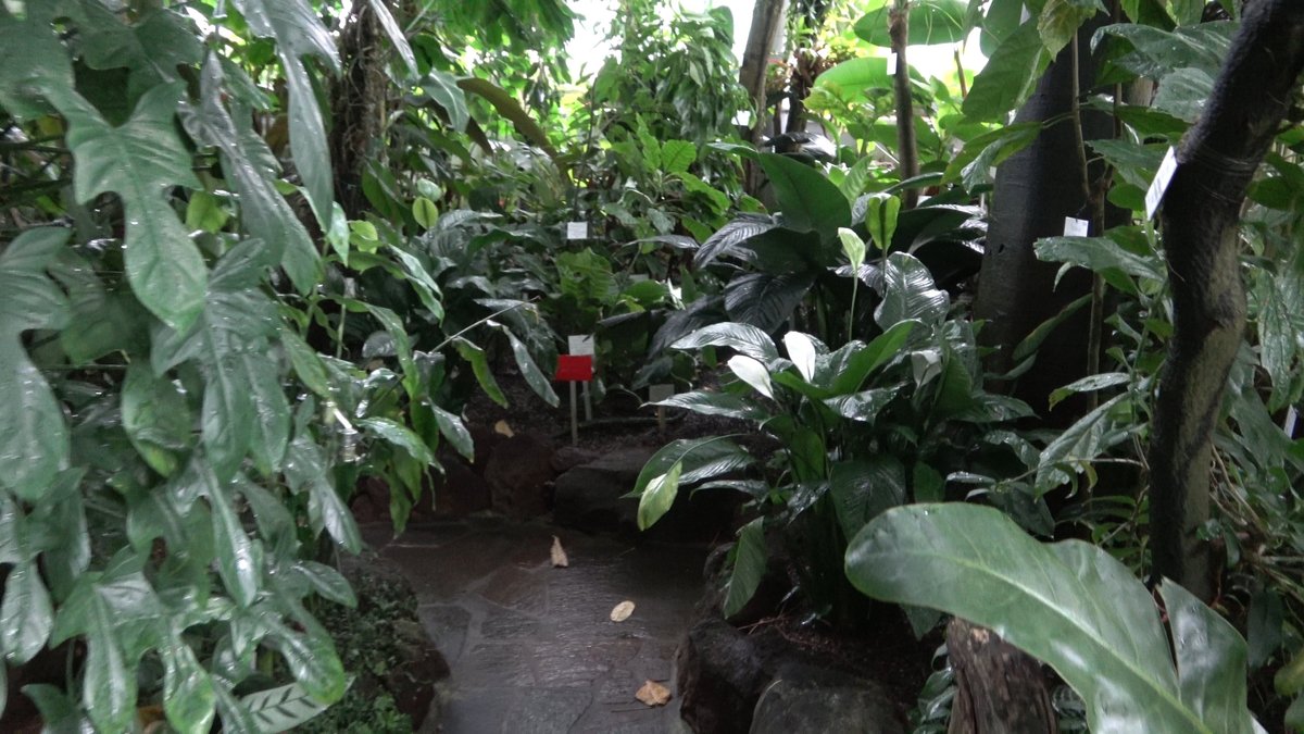 Botanischer Garten der Universität Tübingen Lohnt es sich? (Mit fotos)