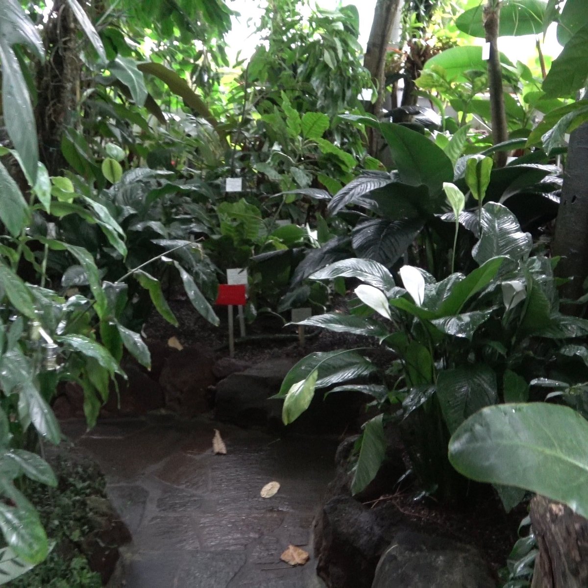 BOTANISCHER GARTEN DER UNIVERSITAT TUBINGEN (2024) All You Need to Know