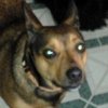 Deb