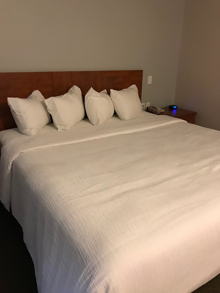 MARATHON HARBOUR INN - Updated 2020 Reviews (Ontario) - Tripadvisor