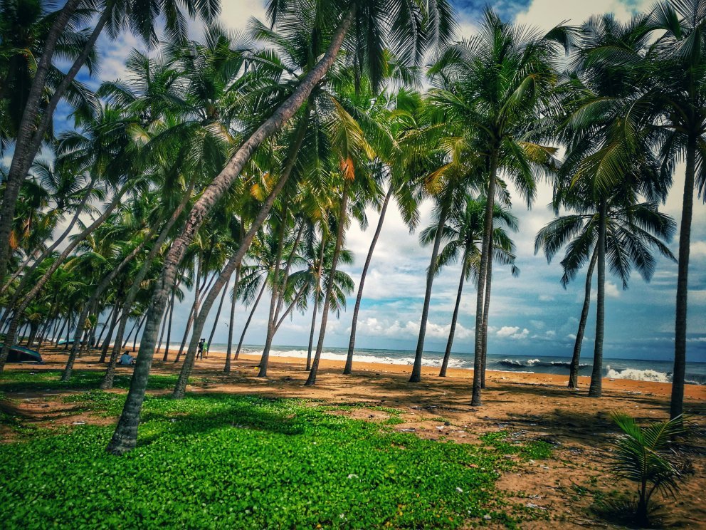 Padinjarekkara Beach - All You Need to Know BEFORE You Go (2024) -  Tripadvisor