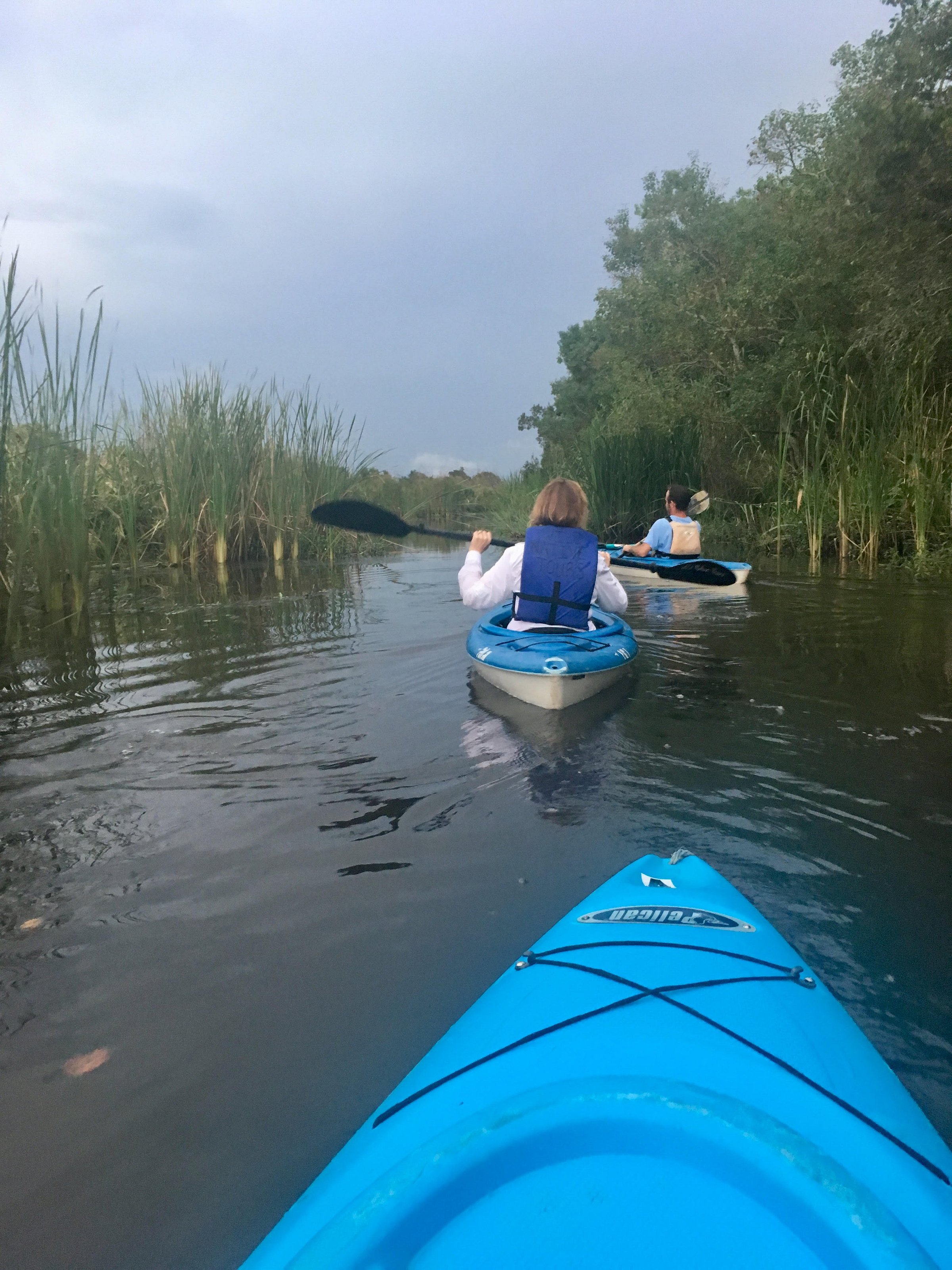 delta wildlife kayak tour